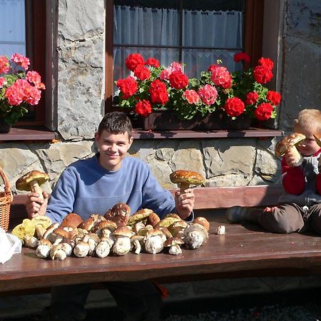 Penzion Tatry ชเดียร์ ภายนอก รูปภาพ